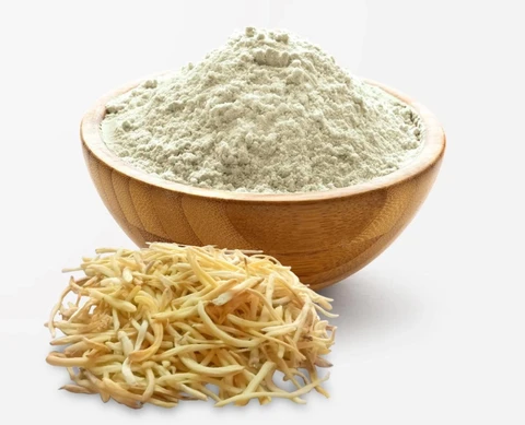 सफेद मूसली Chlorophytum borivilianum (Sant & Ferm)